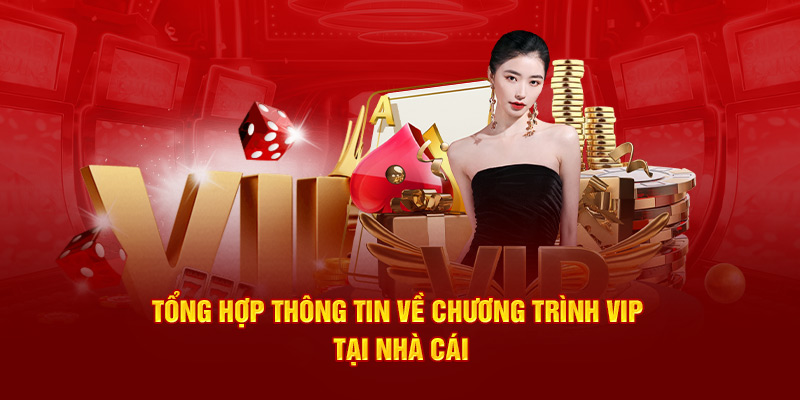Các cấp độ VIP Letou với phần thưởng giá trị